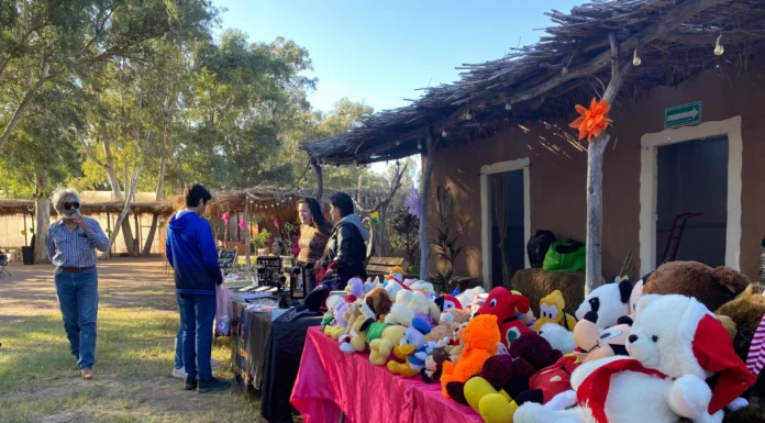 REALIZAN ÚLTIMO TIANGUIS CULTURAL EN YO’O JOARA