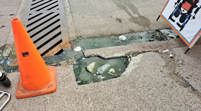 Buscan alternativas amigables con el medio ambiente