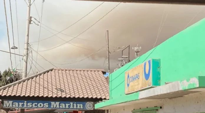 Denuncian contaminación por quema de espárrago en el Valle del Yaqui