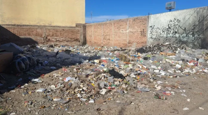 Vía satelital, ubicaran lotes baldíos contaminados
