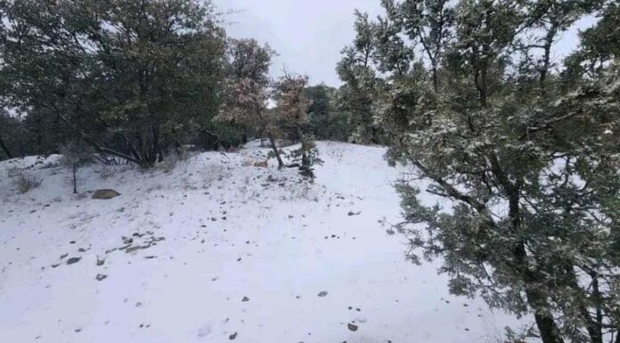 Cae en Sonora primer nevada