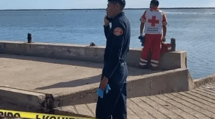 Pide PC tomar precauciones ante riesgo por tiburones