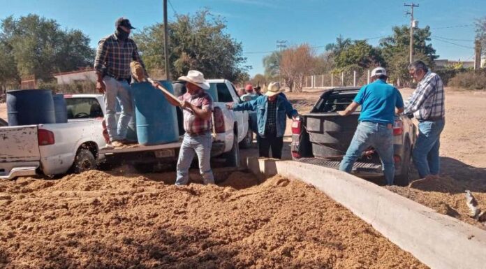 Reciben ganaderos del Mayo 24 toneladas de bagazo de Constellation Brands