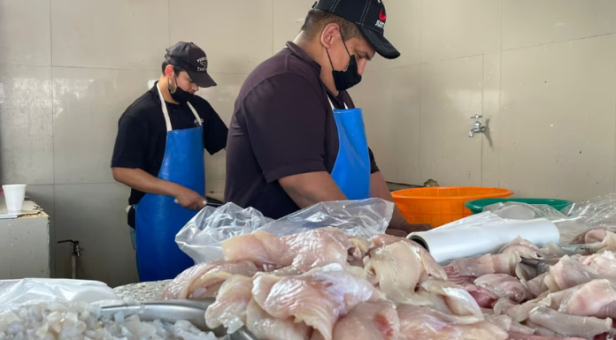 Esperan pescaderías incrementar sus ventas hasta un 50% durante cuaresma
