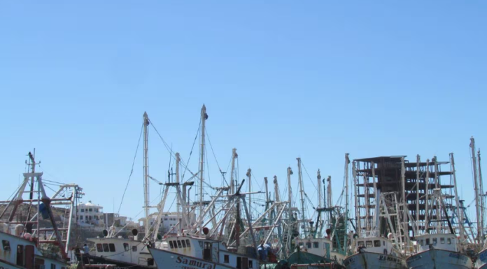Queda puerto de Peñasco en Sonora a cargo de la Marina