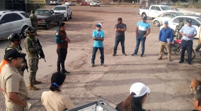 Pescadores de Empalme recibirán cursos de prevención para evitar ataques de tiburón