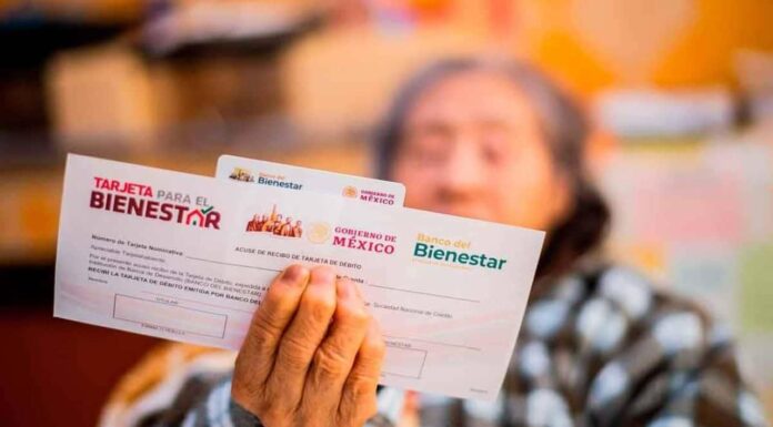 Estas letras recibirán pago adelantado de la Pensión Bienestar