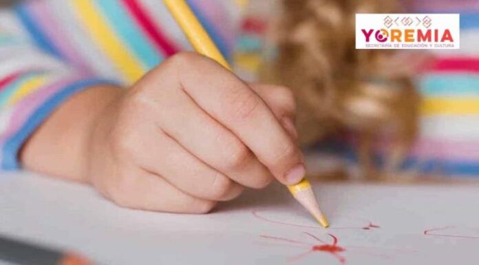 Preinscripciones Yoremia 2024: cuándo y dónde consultar los resultados