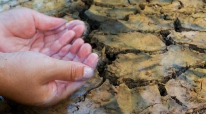 Sequía en Sonora: declaran emergencia por escasez de agua y niveles bajos en presas