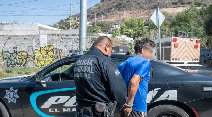 Por maltrato animal, multan a sujeto con 45 mil pesos; esto le hizo al canino