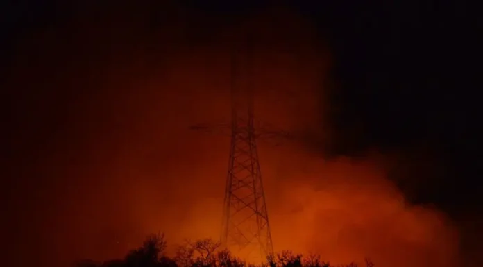 Investigan si incendios forestales son provocados, señala López Obrador