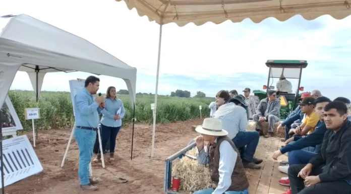 Celebran con éxito el Día del Agricultor en el Valle del Mayo