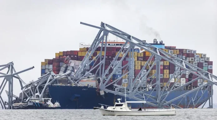 Mexicanos desaparecidos en el puente en Baltimore son de Veracruz y Michoacán