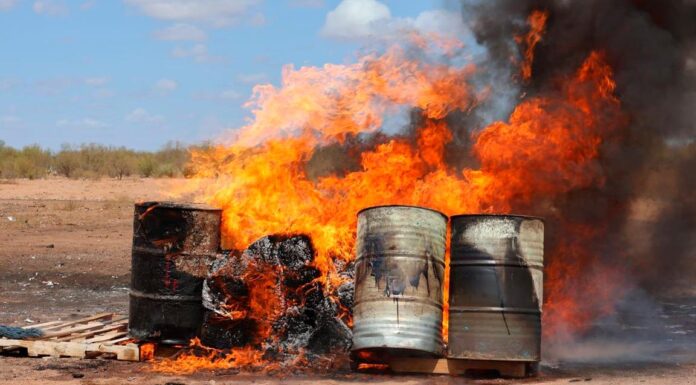 Destruyen más de 100 kilogramos de narcóticos: FGR en Sonora