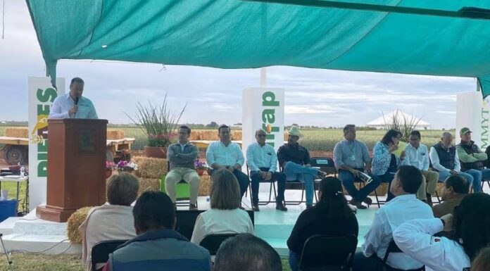 Celebran el Día del Agricultor en Cajeme