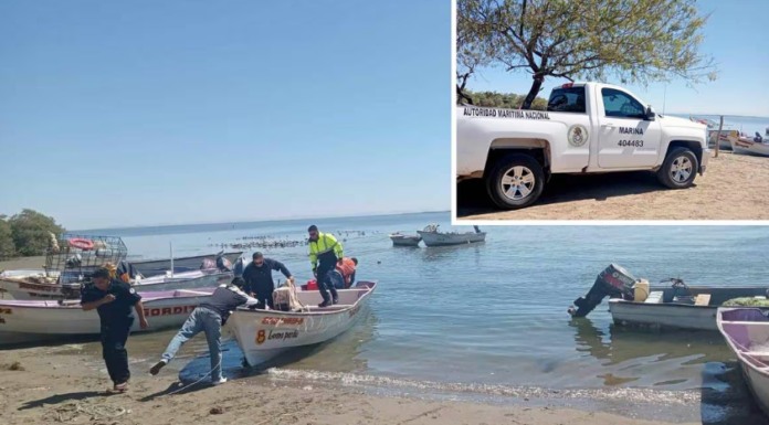 En alerta Yavaros por avistamiento de tiburones en Las Bocas