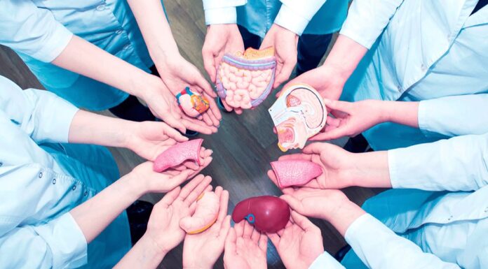 Aumenta el número de donadores voluntarios de órganos y tejidos en Sonora