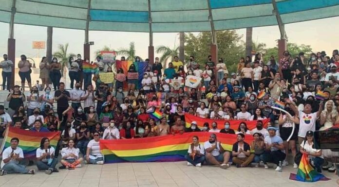 Elecciones inclusivas, la novedad electoral