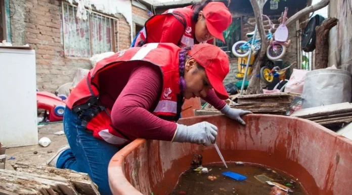 Más de 33 casos sospechosos de dengue se han estudiado durante este 2024 en Sonora