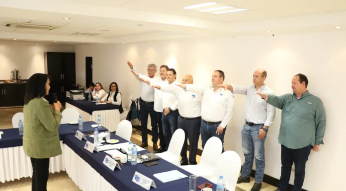 Castro Cosío seguirá como presidente del Cosaes