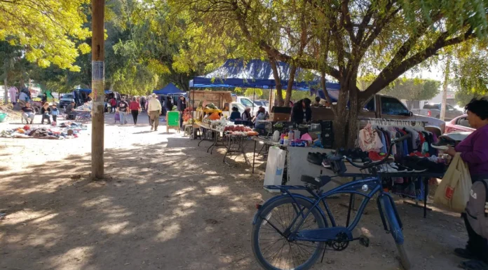 Bajarán ventas en tianguis por la próxima Semana Santa 2024