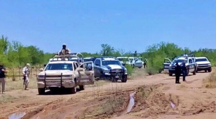 Rescatan a 16 personas secuestradas en San Luis Río Colorado