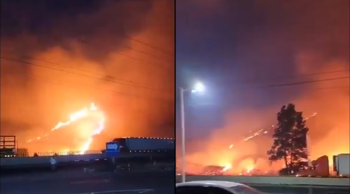 Incendios forestales consumen más de 600 hectáreas en zona de las altas montañas de Veracruz