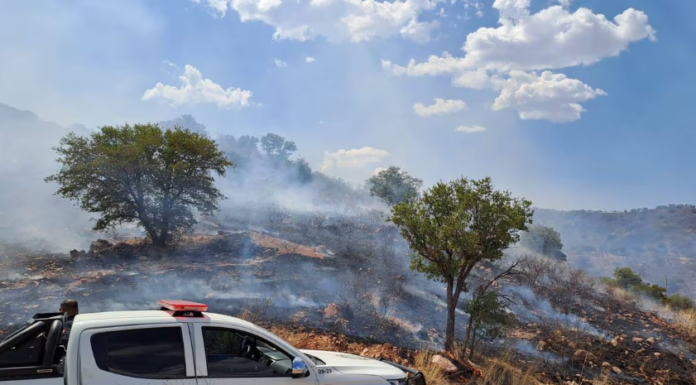 Traen las sequías pérdida de cultivos e incendios forestales a Sonora