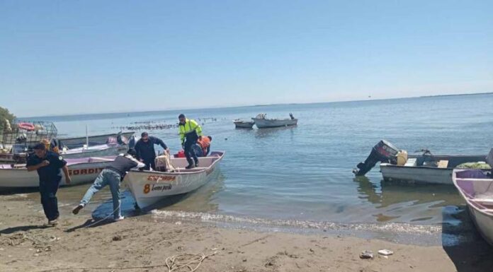 ¡Tiburones en Las Bocas!