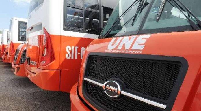 Trabaja Imtes en adquirir más unidades de transporte público