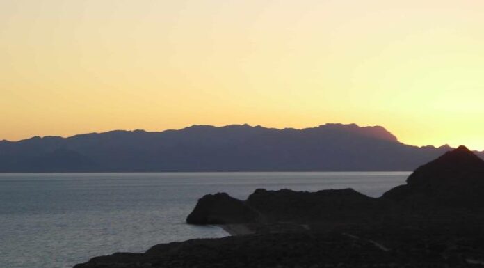 Visita la Isla más grande de México muy cerca de Ciudad Obregón esta Semana Santa