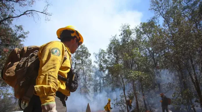 Aún hay 84 incendios activos; más de 3 mil personas combaten siniestros: López Obrador