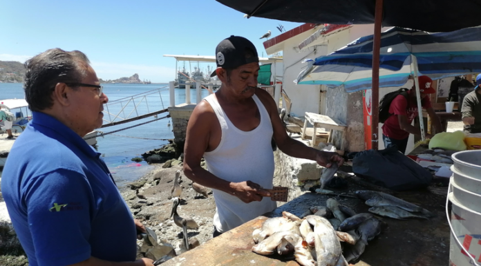 Puestos de mariscos y pesca generan malos olores en Mazatlán