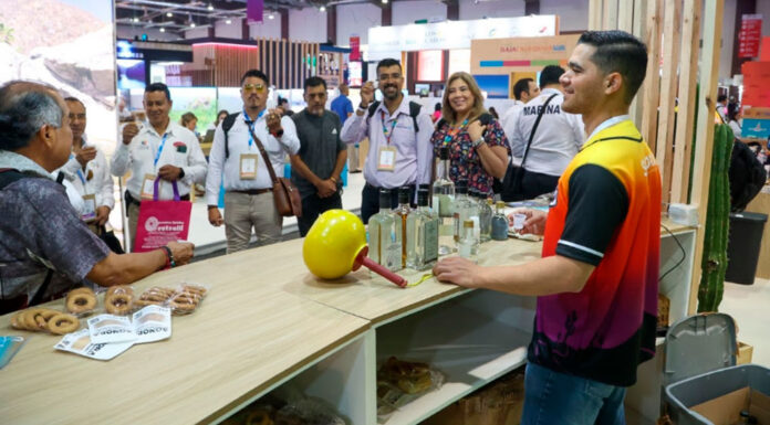 Reconocen a Sonora a nivel nacional por turismo de aventura en El Pinacate