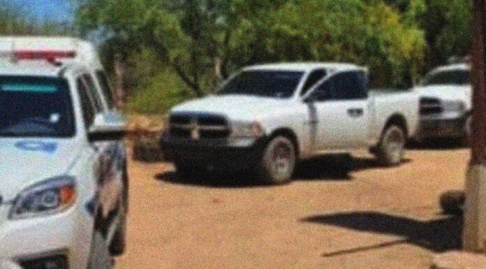 Encuentran animales asesinados, lesionados y en estado de abandono en rancho de colonia La Manga en Hermosillo