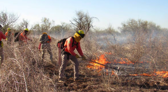 Controlan y liquidan incendio forestal en Quiriego