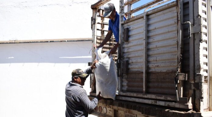Ganaderos reciben sacos de alimento con proteína como parte del Plan Estratégico del Gobierno de Sonora