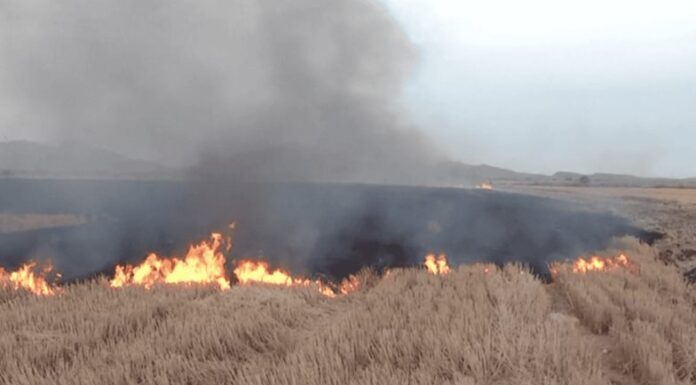 Quieren evitar la quema de gavilla
