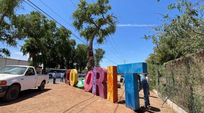 Retiran letras emblemáticas de Cócorit tras caída de árbol
