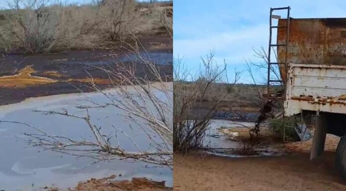Investiga la Profepa situación en Yavaros