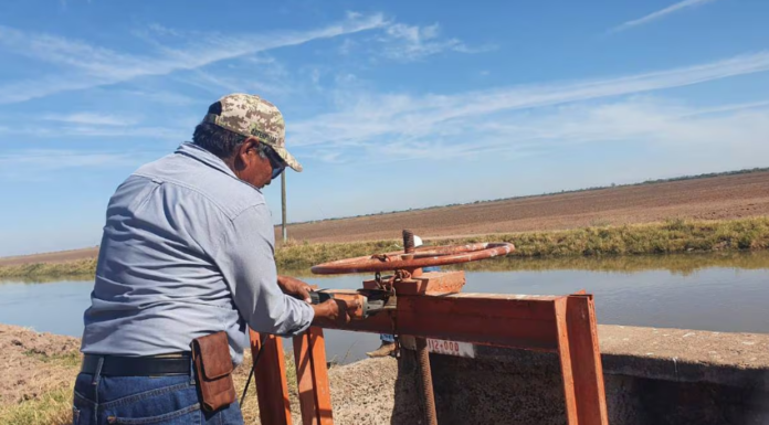 Presentan sequía 63 municipios de Sonora