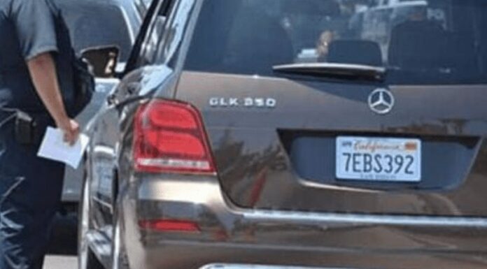 Alista Cevce operativo para decomiso de autos ‘chocolate’ en Sonora