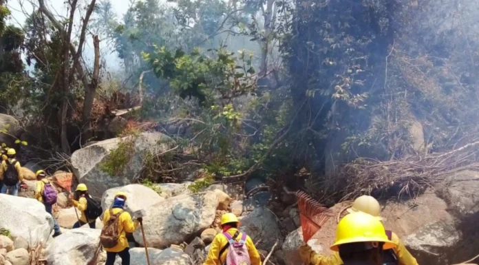 Suspenden clases este jueves por incendios en Acapulco y Chilpancingo, Guerrero