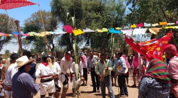 Mayos piden respeto en ceremonias tradicionales