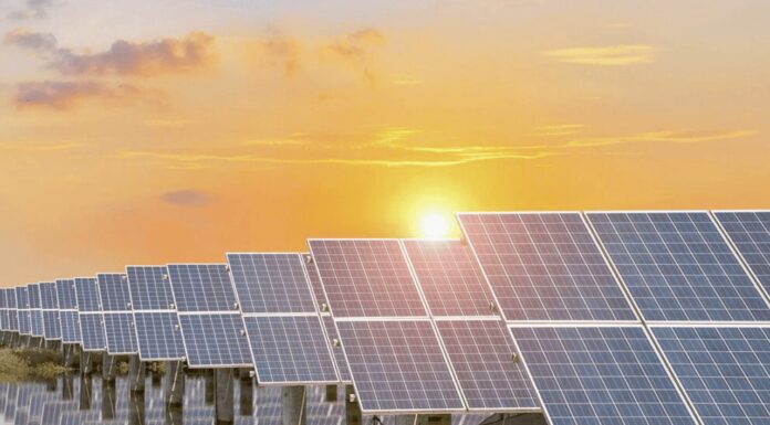 Sonora: líder en la generación de energía renovable