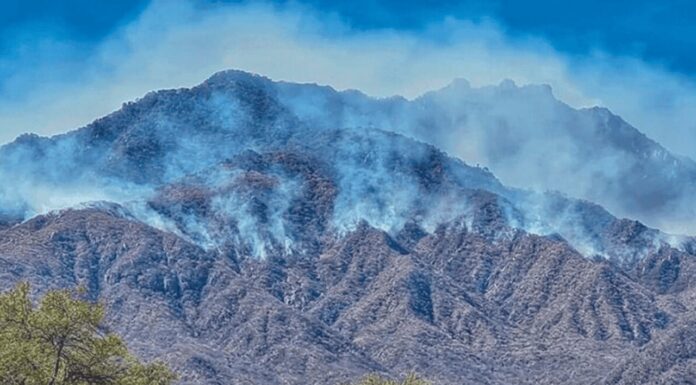 Sube el riesgo de incendios forestales por altas temperaturas y baja humedad