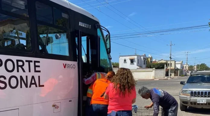 Realizarán esterilización a bajo costo este sábado