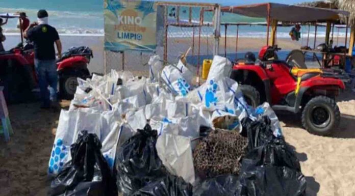 Invita Cultura Verde a sexta jornada de limpieza en el Día Mundial Sin Tabaco en Bahía de Kino