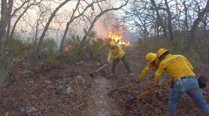 Oaxaca registra 24 incendios forestales activos