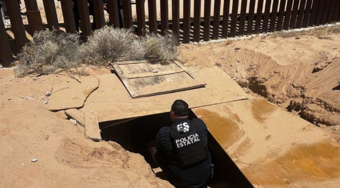Hallan túnel bajo muro fronterizo en SLRC